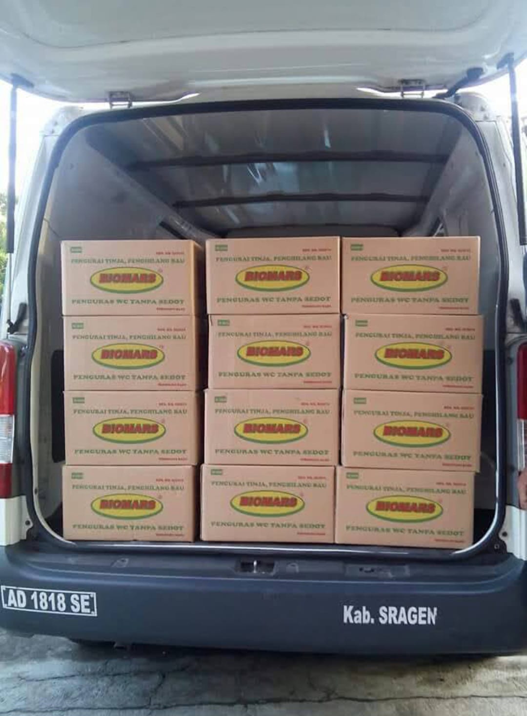 BIOMARS 1 Karton (12 Kg)